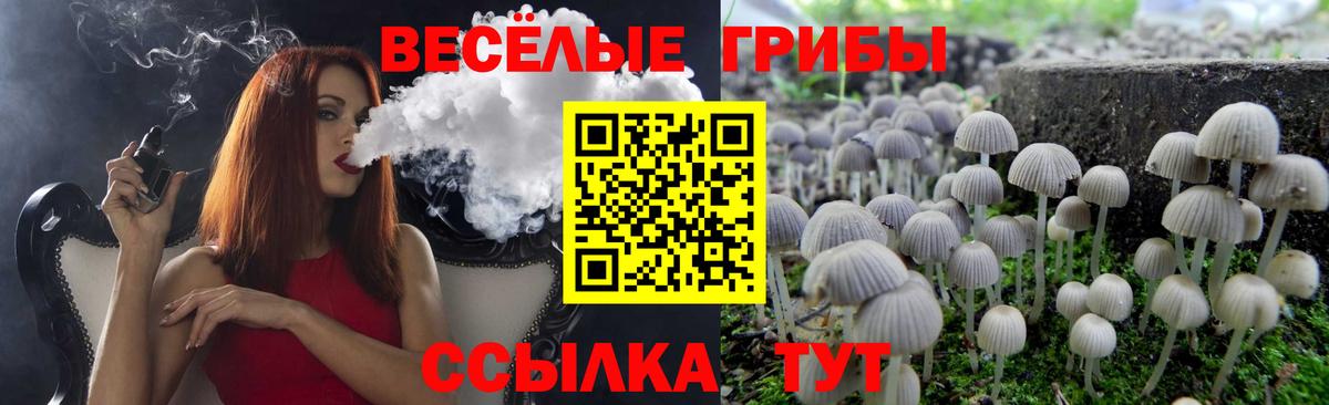 Псилоцибиновые грибы ЛСД Великие Луки